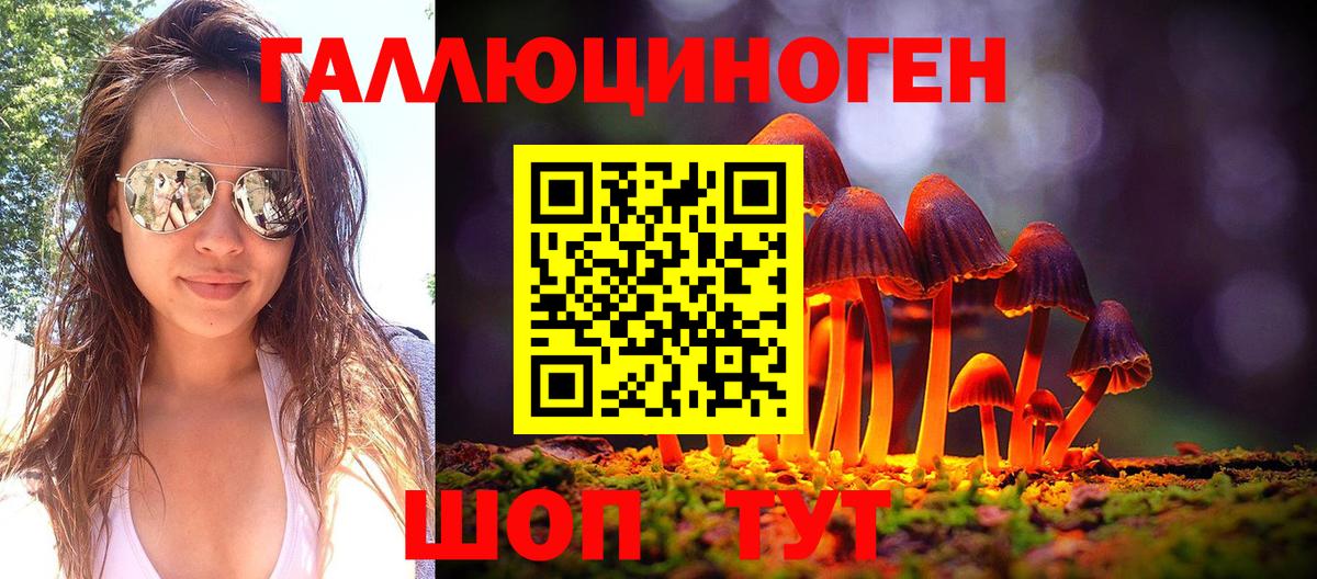 Псилоцибиновые грибы Cubensis  Вход с VPN  Славянск-на-Кубани 