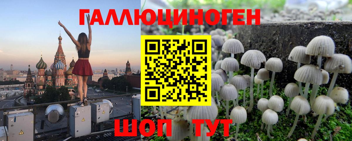 Псилоцибиновые грибы MAGIC MUSHROOMS Славянск-на-Кубани