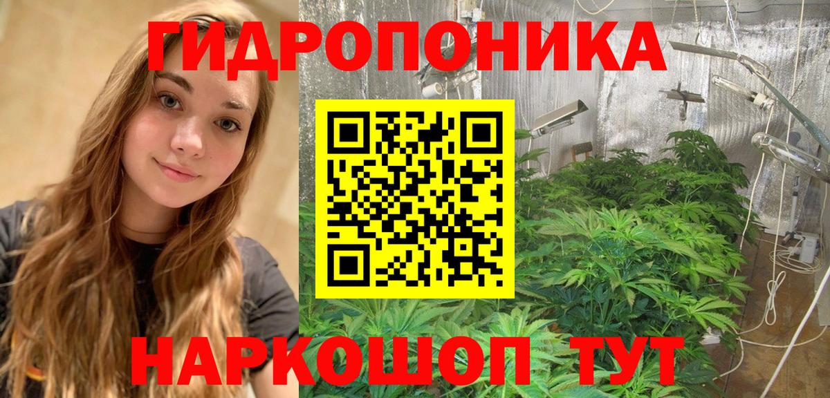 Бошки Шишки Ganja  Марихуана сатива  Вход с VPN  Славянск-на-Кубани 